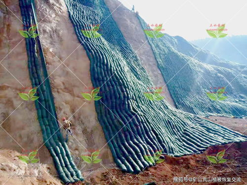 礦山坡面壘生態袋護坡植草技術
